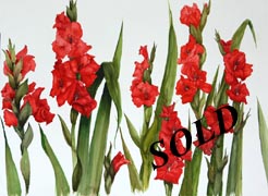 Gladioli by Wendy Griffiths