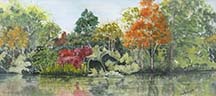 Reflecting Pool by Wendy Griffiths